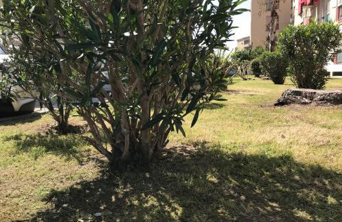 Calaba Stadio - Photo 44