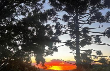 Loft in the Woods in São Roque! - Foto 19