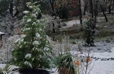 Uncle Grizz's Cabin...get intouch with nature - Foto 6