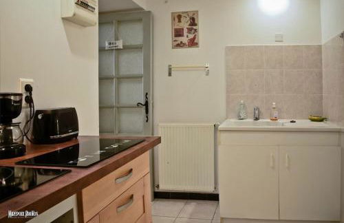 Oustal de Papé le calme au cœur de Mirepoix - Foto 15