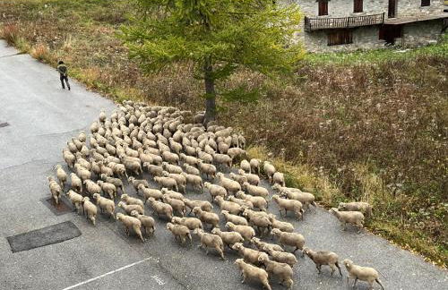 Les Terrasses de Labrau - Foto 32