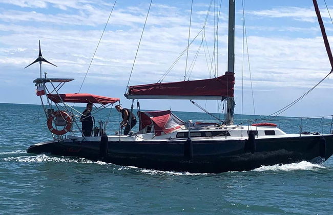 Avistamiento de delfines en Sotogrande - Foto 8