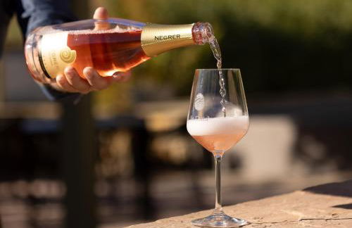 Agriturismo La Ratta - Photo 13