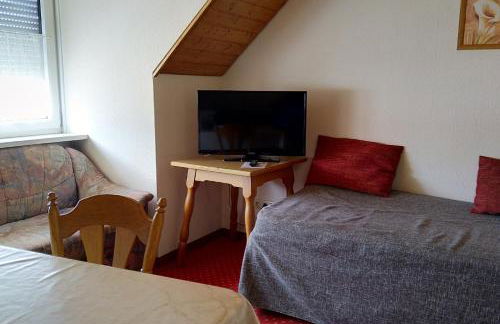 Pension Schneider, Ferienwohnung - Foto 1