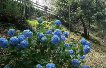 Il Bosco di Campo Marzano green & sky - Foto 49