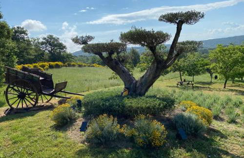 Bastide provençale à Murs, coeur du Lubéron - Foto 48