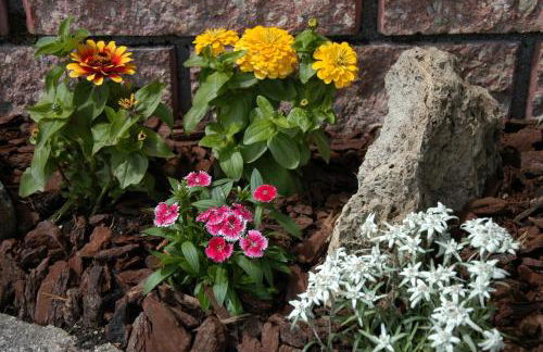 Residence Weiss - Foto 53