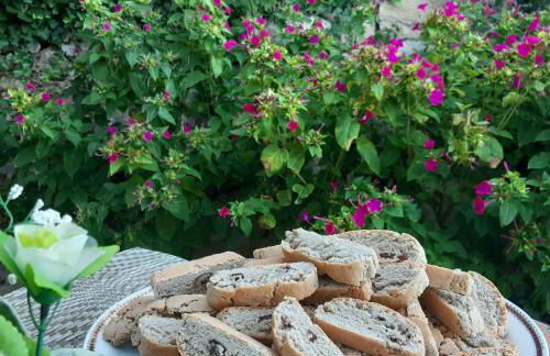 Agriturismo Colleverde Capalbio - Foto 11