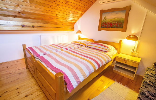 Tourist Farm Pri Martinovih - Foto 10