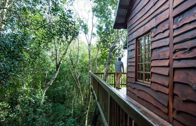 Moon Shine on Whiskey Creek - Foto 30