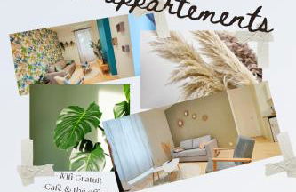 Appartements à thème - Foto 8