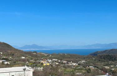 Ischia Casareccia - Foto 17