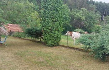 Ferme De La Grange Du Bas - Foto 15