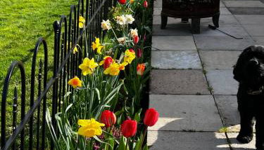 Silver Springs Farm Lodge - Foto 2