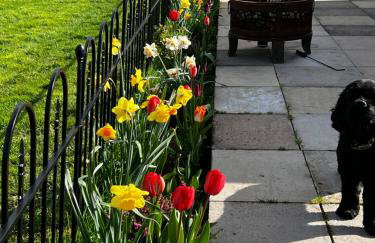 Silver Springs Farm Lodge - Foto 2