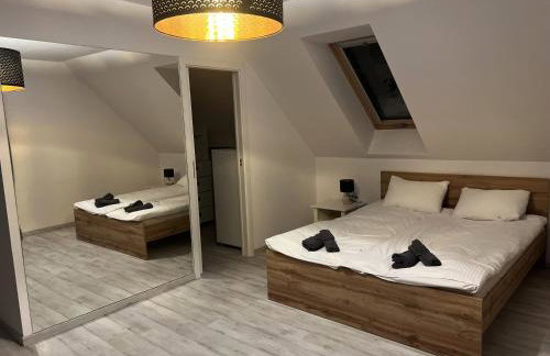 Willa Źródlana - Foto 16