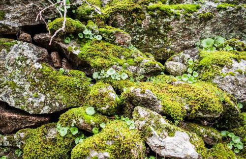 La casita de Ra - Foto 52