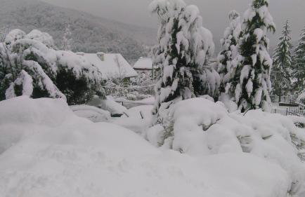 Apartament TARA - Foto 38