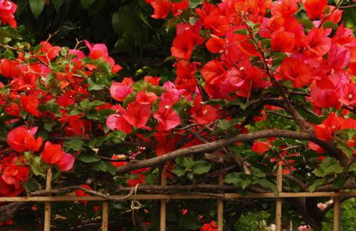 Residence Santa Maria Suites - Foto 12