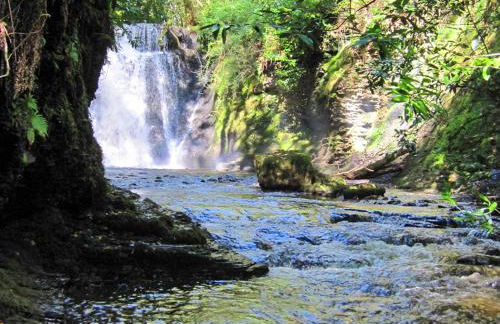 Brewhouse - Uk48743 - Foto 10