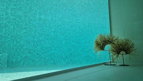 Noahs Paradise - Foto 4