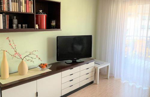 BodenSEE Apartment Friedrichshafen Manzell - Foto 3