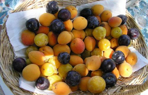 Agriturismo Le Serre - Foto 43