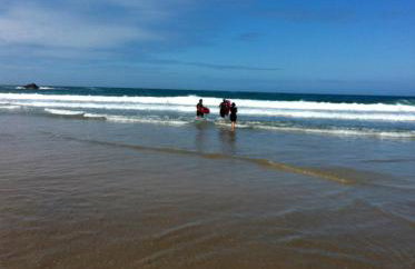 Chy-an-Lowena - Foto 30