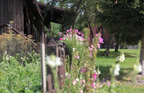 Orlik Mazury - Foto 26