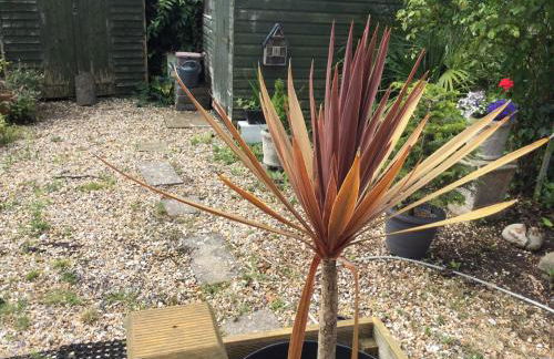 The Seagulls 3 Bedroom House with Parking Weymouth - Photo 11