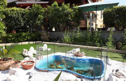 GuestHost - Vesuvium Garden - Foto 40