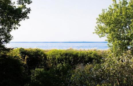 Dünenblick 02 - Foto 24