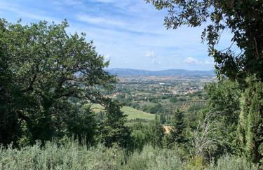 Borgo Eva - Photo 18