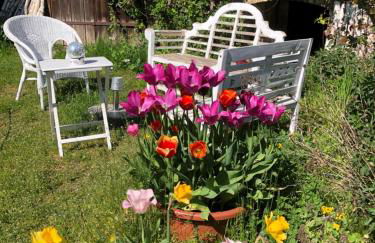 Gartenblick im Schwalbennest - Foto 21