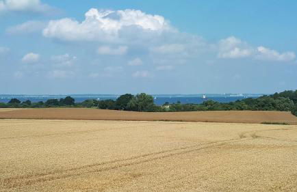 Bei-Schroeter-s - Photo 17