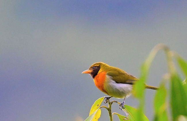 encanto Toscano - Photo 6