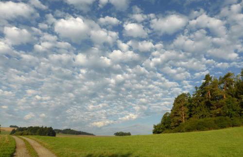 Ferienhof Berghof - Foto 70