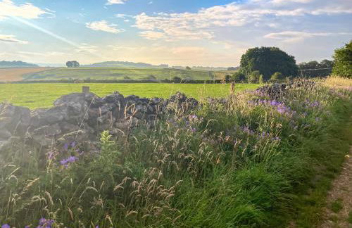 Paddock Cottage - Foto 19