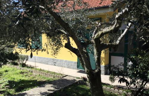 La casetta della nonna - Foto 18