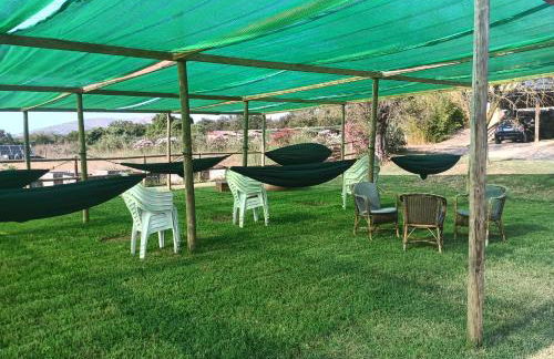 Can Barnosell - Els Masos d'en Coll - Foto 132