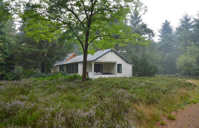 Cosy Holiday Home in Maarheeze With Verandah - Foto 41