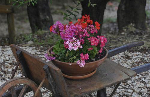 Al Crepuscolo Agriturismo - Foto 93