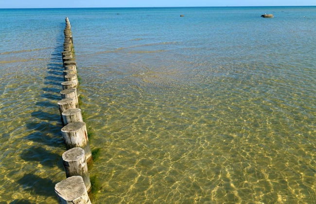 Insel- Bungalow auf Poel - Foto 19