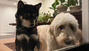 Main Street cabin - Foto 2