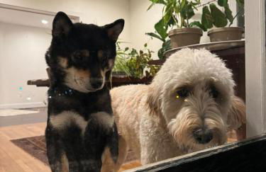 Main Street cabin - Foto 2