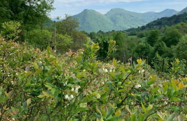 Agriturismo Il Talento Nella Quiete - Foto 70