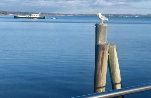 Ferienwohnung zur Ostsee - Foto 33