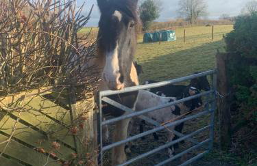 Stable End - Photo 23