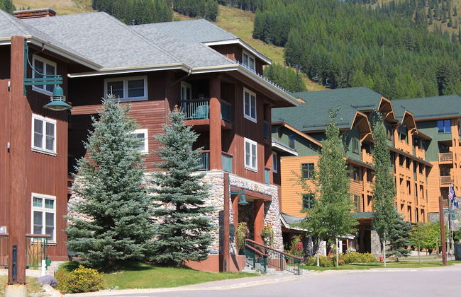 Morning Eagle - Photo 11