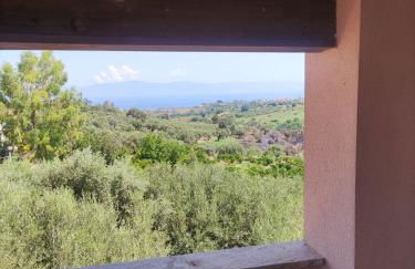 Villa degli Ulivi - Foto 18